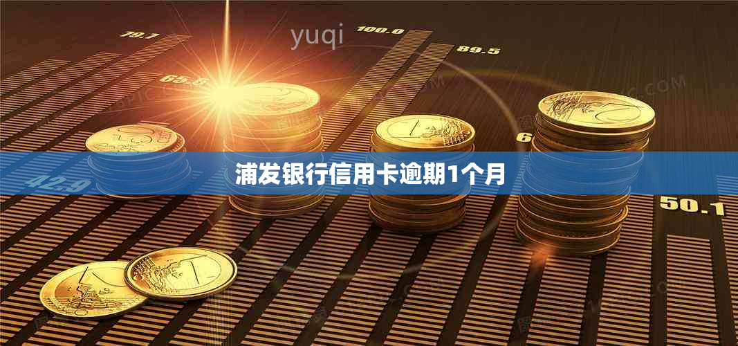 浦发银行信用卡逾期1个月