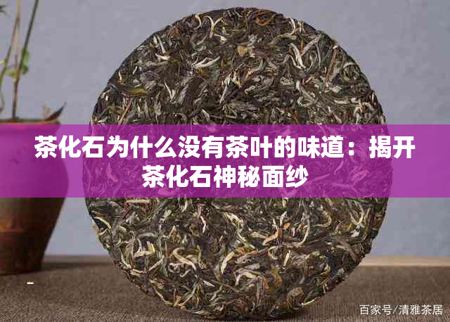 茶化石为什么没有茶叶的味道：揭开茶化石神秘面纱