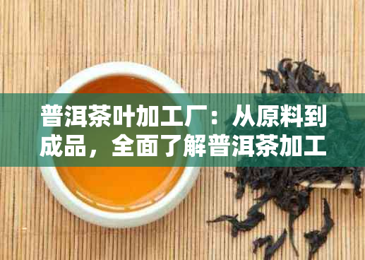 普洱茶叶加工厂：从原料到成品，全面了解普洱茶加工过程及品质保障