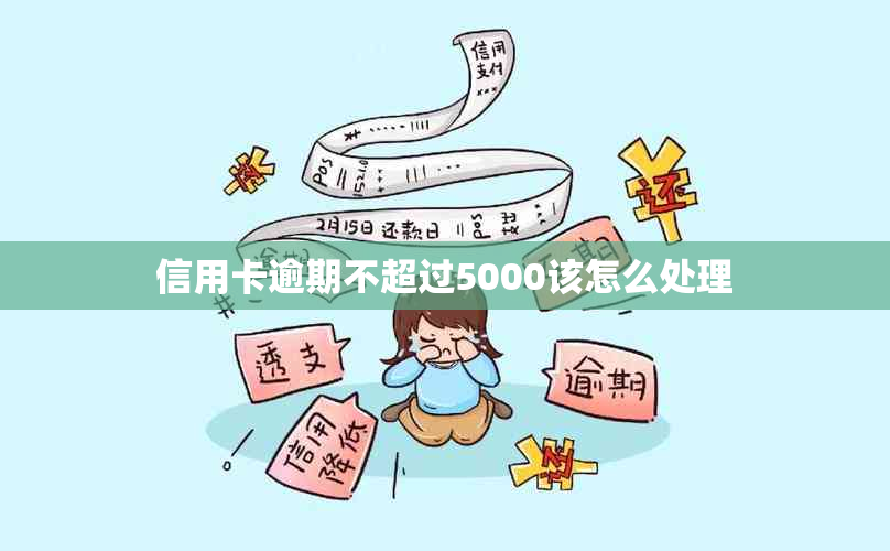 信用卡逾期不超过5000该怎么处理