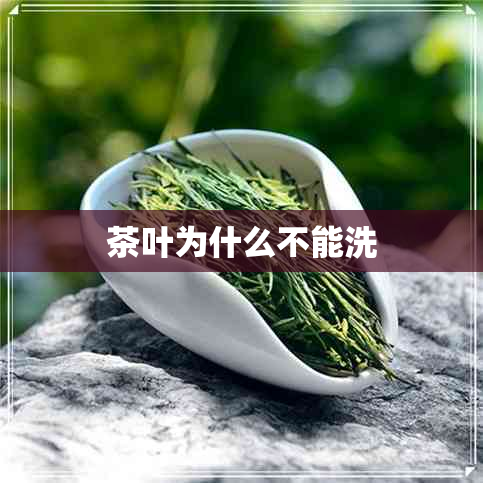 茶叶为什么不能洗