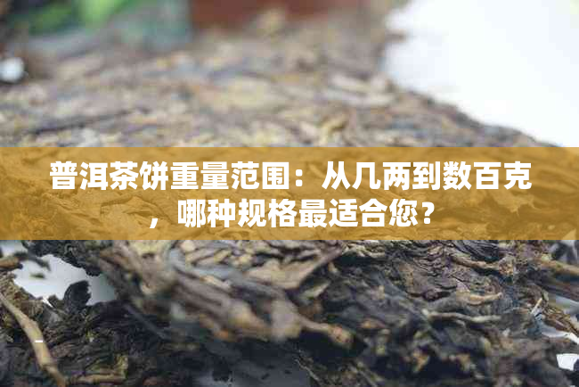 普洱茶饼重量范围：从几两到数百克，哪种规格最适合您？