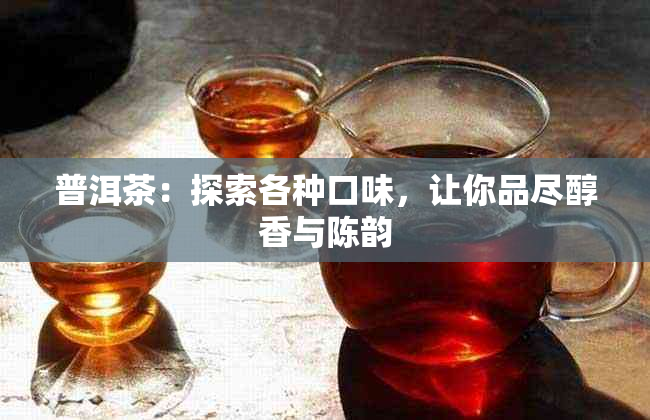 普洱茶：探索各种口味，让你品尽醇香与陈韵