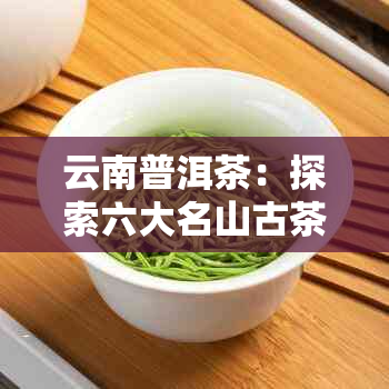 云南普洱茶：探索六大名山古茶区，品味口感差异与独特韵味