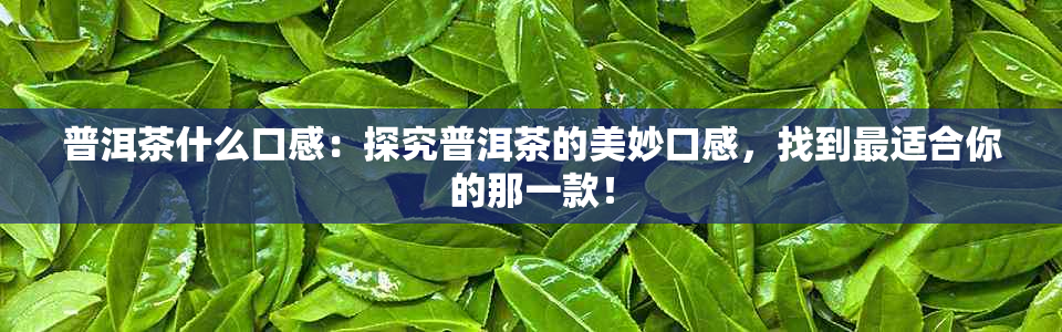 普洱茶什么口感：探究普洱茶的美妙口感，找到最适合你的那一款！