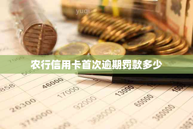 农行信用卡首次逾期罚款多少