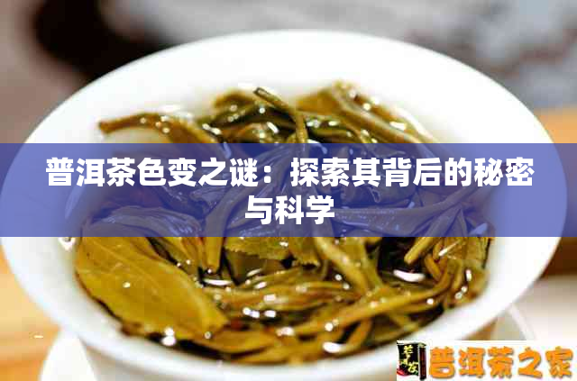 普洱茶色变之谜：探索其背后的秘密与科学