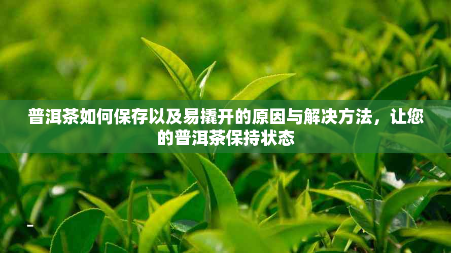 普洱茶如何保存以及易撬开的原因与解决方法，让您的普洱茶保持状态