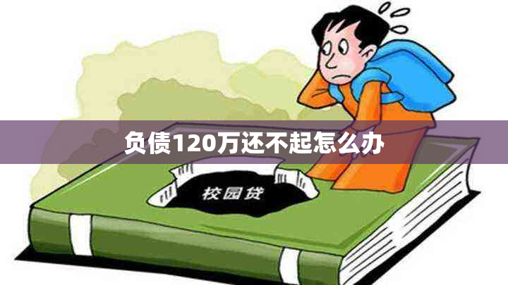 负债120万还不起怎么办