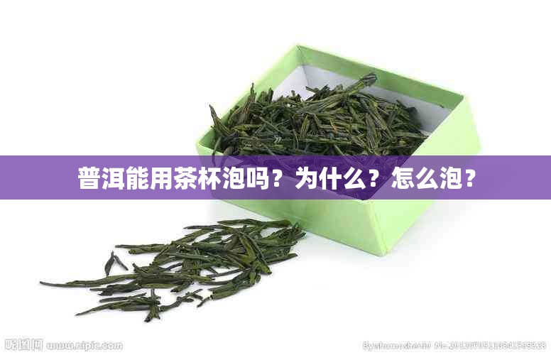 普洱能用茶杯泡吗？为什么？怎么泡？