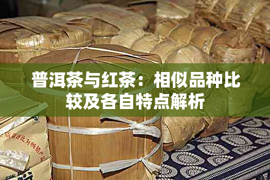 普洱茶与红茶：相似品种比较及各自特点解析