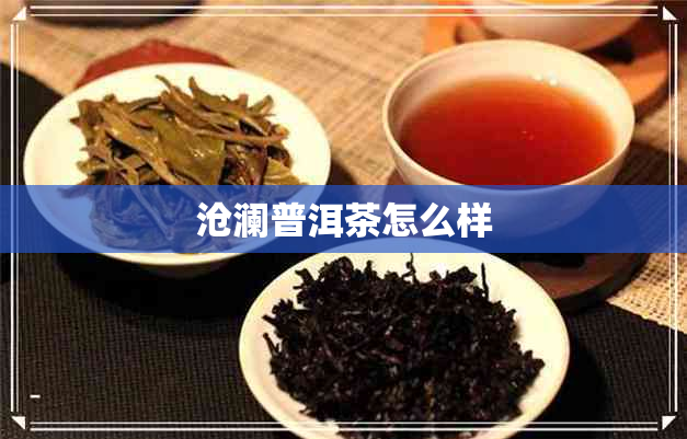 沧澜普洱茶怎么样