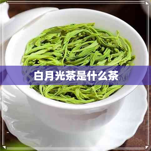 白月光茶是什么茶