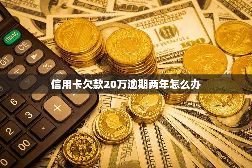 信用卡欠款20万逾期两年怎么办