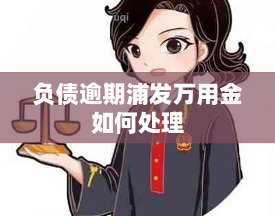 负债逾期浦发万用金如何处理