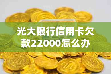 光大银行信用卡欠款22000怎么办