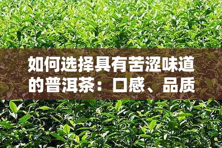 如何选择具有苦涩味道的普洱茶：口感、品质与适宜的饮用方法