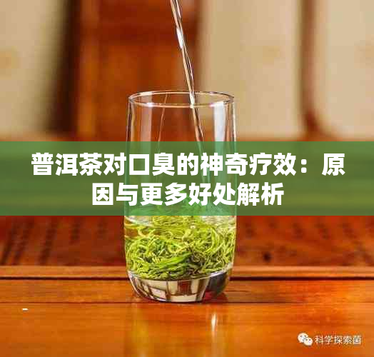 普洱茶对口臭的神奇疗效：原因与更多好处解析