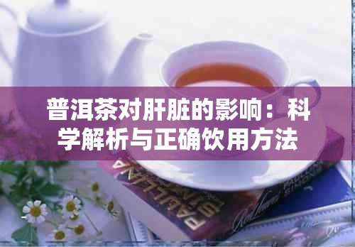 普洱茶对肝脏的影响：科学解析与正确饮用方法