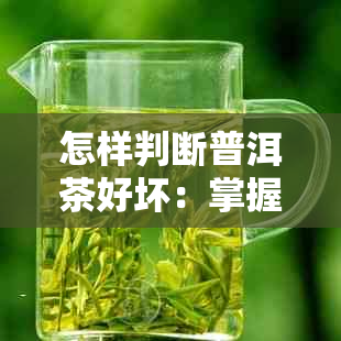 怎样判断普洱茶好坏：掌握关键技巧，轻松辨别优质普洱