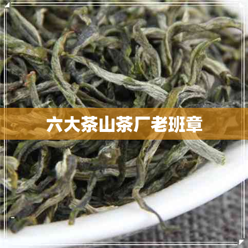 六大茶山茶厂老班章