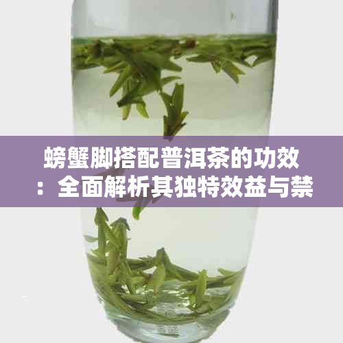 螃蟹脚搭配普洱茶的功效：全面解析其独特效益与禁忌