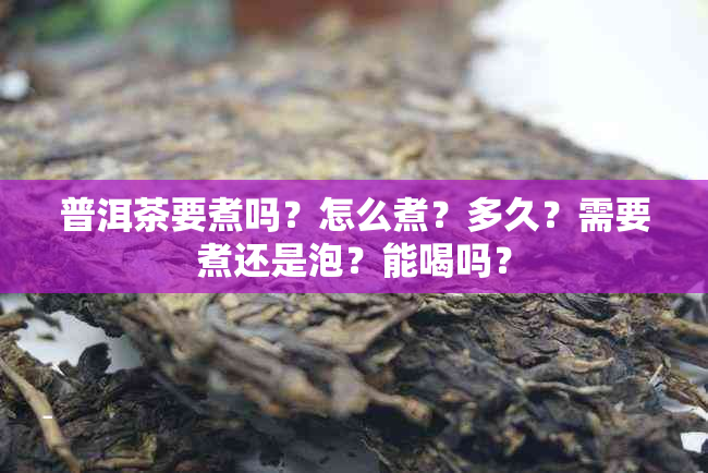 普洱茶要煮吗？怎么煮？多久？需要煮还是泡？能喝吗？