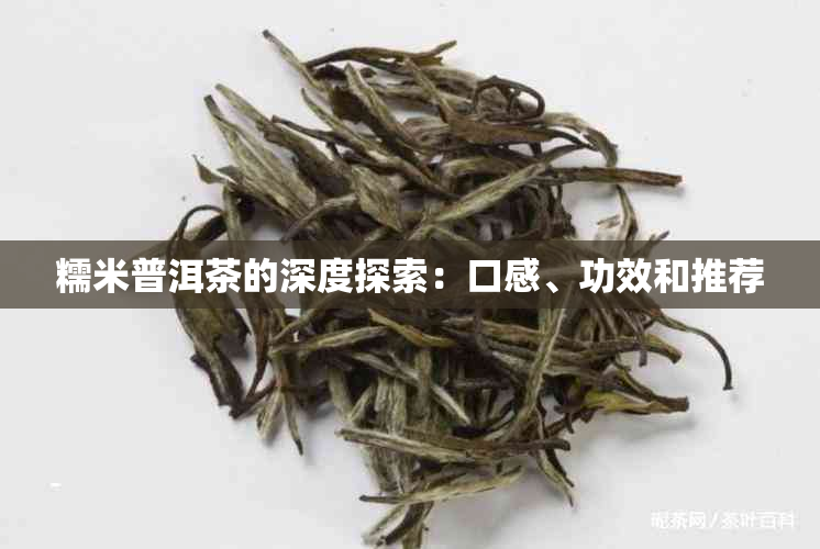 糯米普洱茶的深度探索：口感、功效和推荐