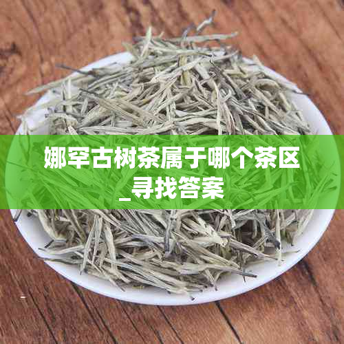 娜罕古树茶属于哪个茶区_寻找答案