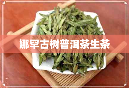 娜罕古树普洱茶生茶