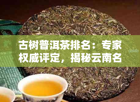 古树普洱茶排名：专家权威评定，揭秘云南名山古茶园里的佼佼者