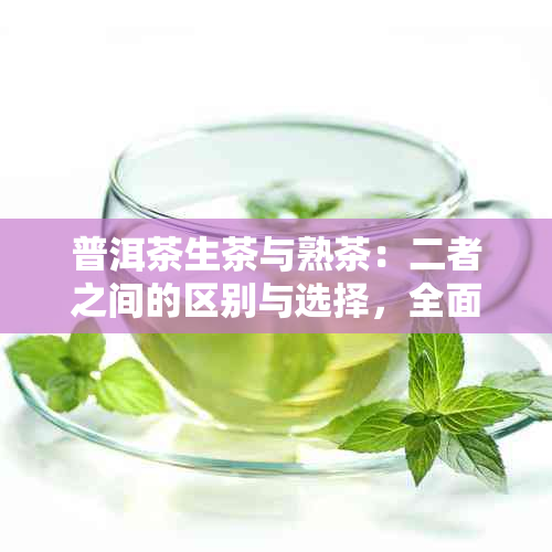 普洱茶生茶与熟茶：二者之间的区别与选择，全面解析