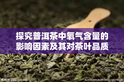 探究普洱茶中氧气含量的影响因素及其对茶叶品质的作用