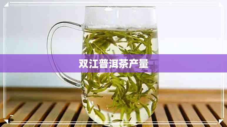 双江普洱茶产量