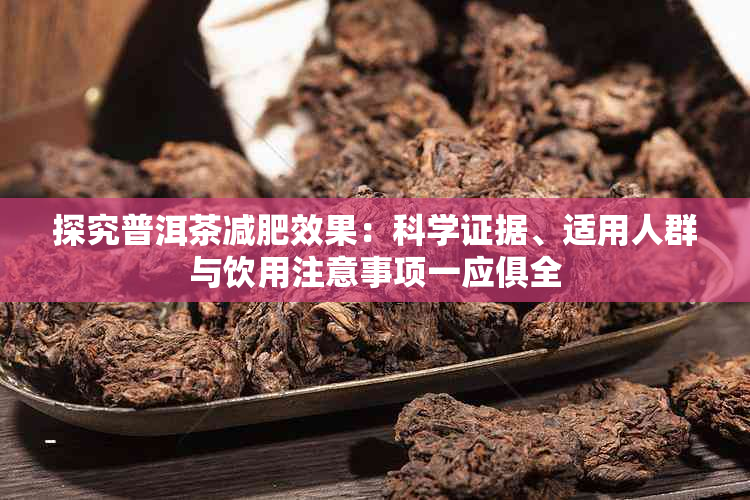 探究普洱茶减肥效果：科学证据、适用人群与饮用注意事项一应俱全