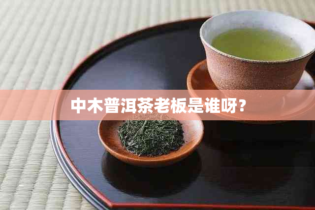 中木普洱茶老板是谁呀？