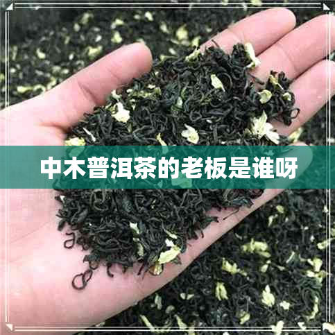 中木普洱茶的老板是谁呀