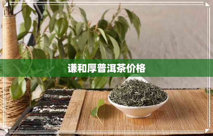 谦和厚普洱茶价格