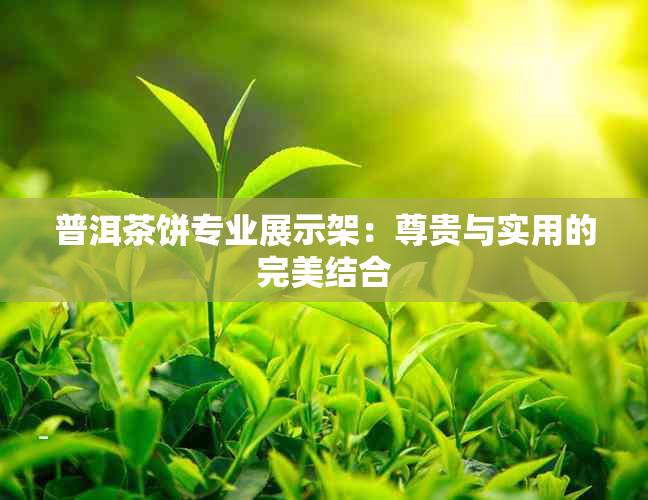 普洱茶饼专业展示架：尊贵与实用的完美结合