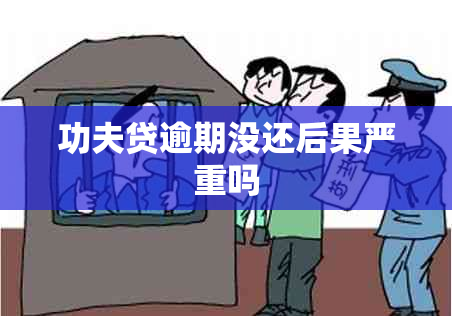 功夫贷逾期没还后果严重吗