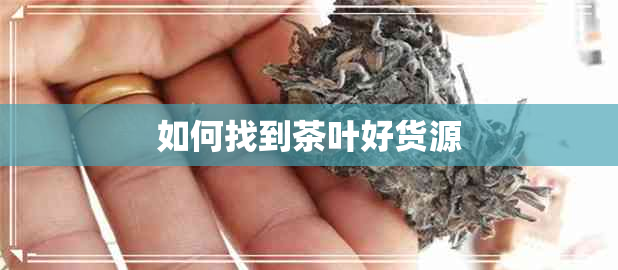 如何找到茶叶好货源