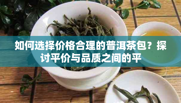 如何选择价格合理的普洱茶包？探讨平价与品质之间的平