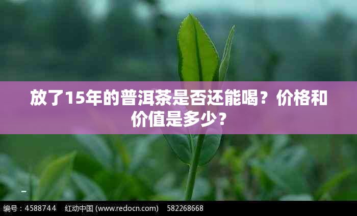 放了15年的普洱茶是否还能喝？价格和价值是多少？