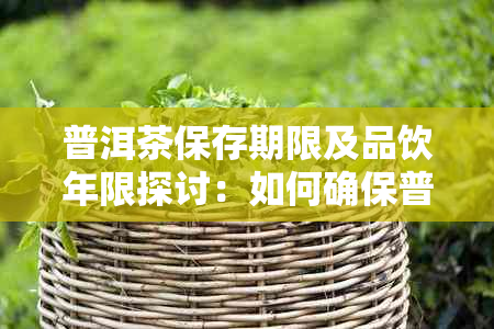 普洱茶保存期限及品饮年限探讨：如何确保普洱茶品质和口感？