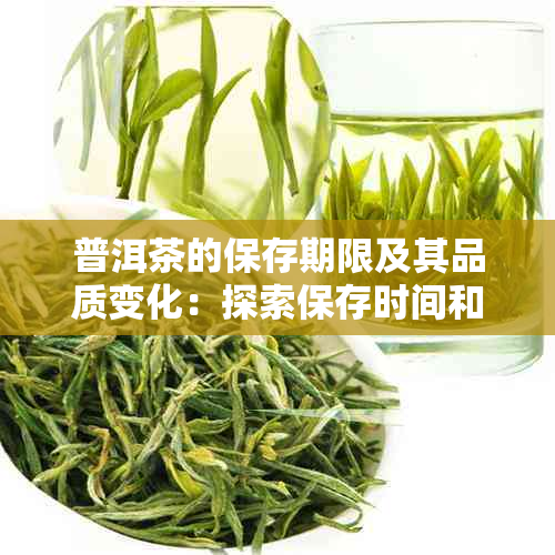 普洱茶的保存期限及其品质变化：探索保存时间和方法