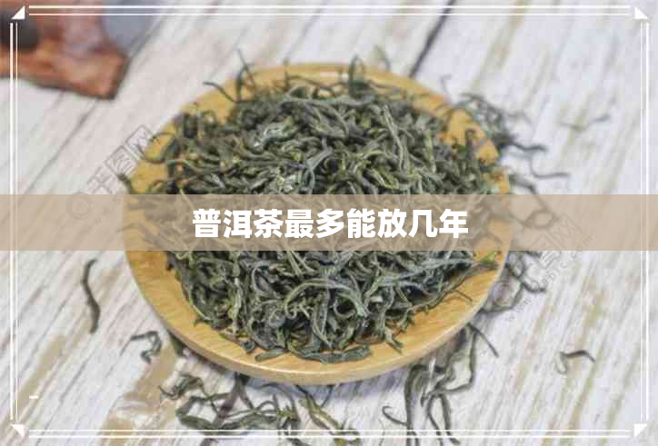 普洱茶最多能放几年