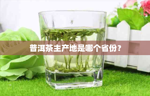 普洱茶主产地是哪个省份？