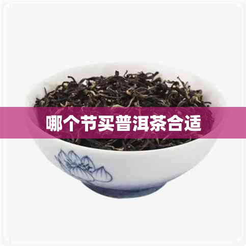 哪个节买普洱茶合适