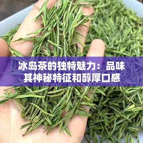 冰岛茶的独特魅力：品味其神秘特征和醇厚口感