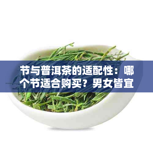 节与普洱茶的适配性：哪个节适合购买？男女皆宜